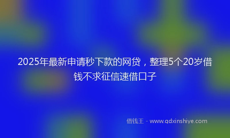 2025年最新申请秒下款的网贷，整理5个20岁借钱不求征信速借口子