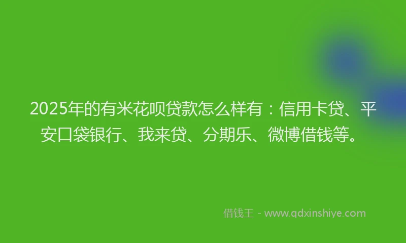 2025年的有米花呗贷款怎么样有：信用卡贷、平安口袋银行、我来贷、分期乐、微博借钱等。