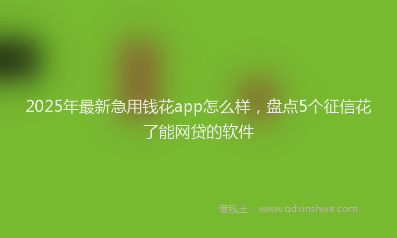 2025年最新急用钱花app怎么样，盘点5个征信花了能网贷的软件