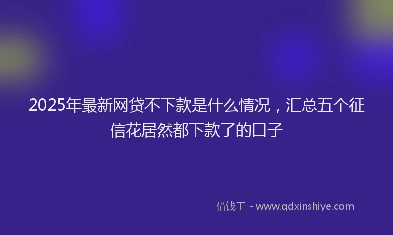 2025年最新网贷不下款是什么情况，汇总五个征信花居然都下款了的口子