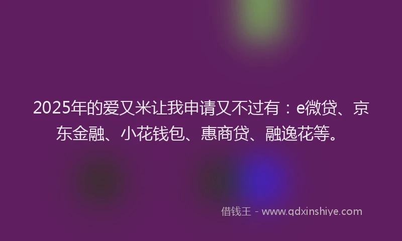 2025年的爱又米让我申请又不过有：e微贷、京东金融、小花钱包、惠商贷、融逸花等。