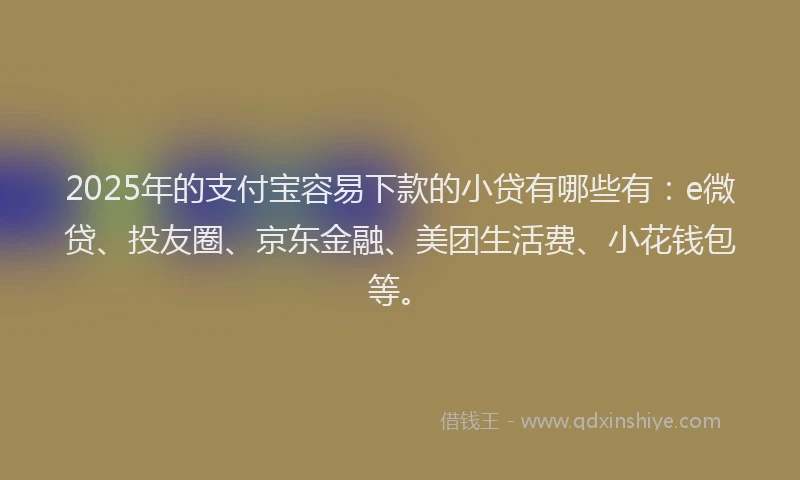 2025年的支付宝容易下款的小贷有哪些有：e微贷、投友圈、京东金融、美团生活费、小花钱包等。