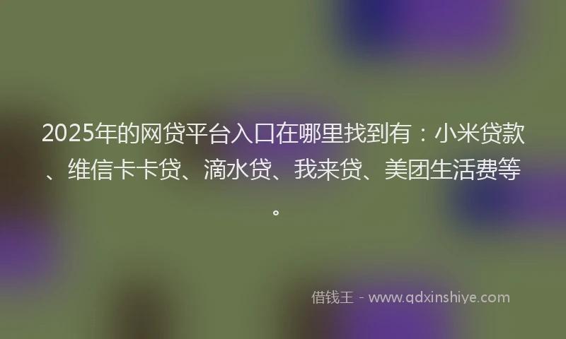 2025年的网贷平台入口在哪里找到有：小米贷款、维信卡卡贷、滴水贷、我来贷、美团生活费等。