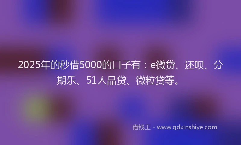 2025年的秒借5000的口子有：e微贷、还呗、分期乐、51人品贷、微粒贷等。