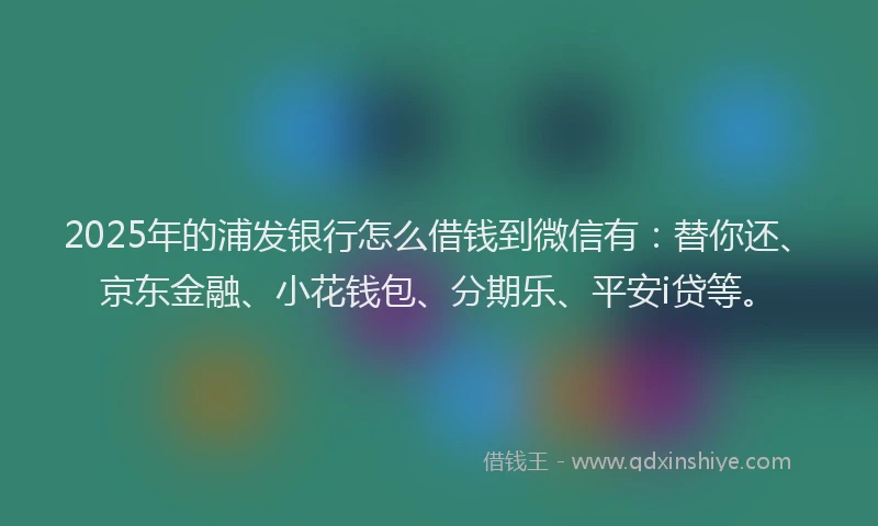 2025年的浦发银行怎么借钱到微信有：替你还、京东金融、小花钱包、分期乐、平安i贷等。