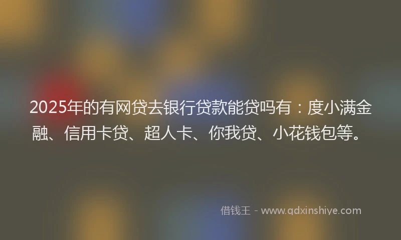 2025年的有网贷去银行贷款能贷吗有：度小满金融、信用卡贷、超人卡、你我贷、小花钱包等。