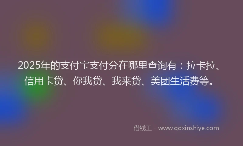 2025年的支付宝支付分在哪里查询有：拉卡拉、信用卡贷、你我贷、我来贷、美团生活费等。