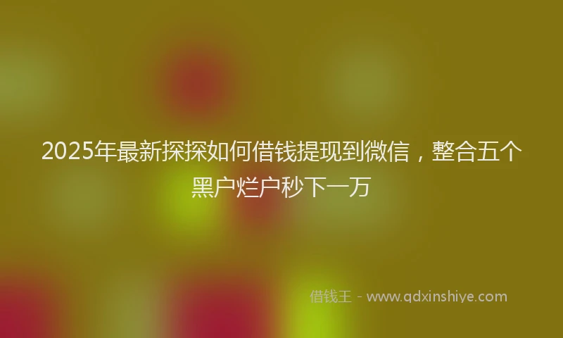 2025年最新探探如何借钱提现到微信，整合五个黑户烂户秒下一万
