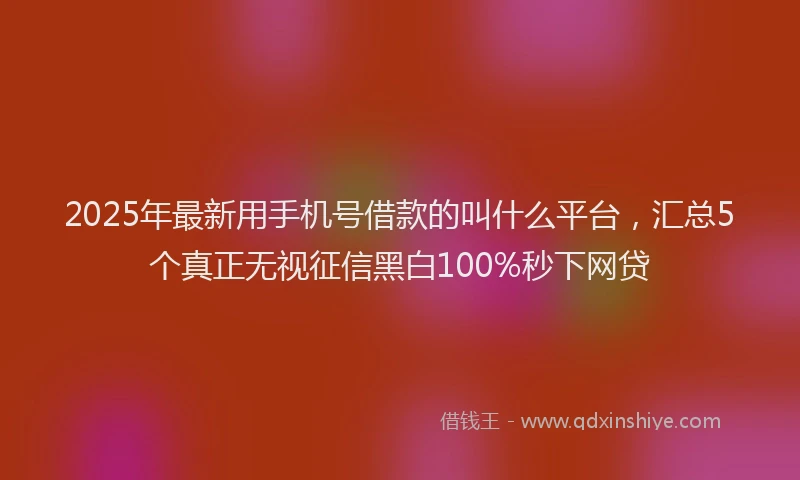 2025年最新用手机号借款的叫什么平台，汇总5个真正无视征信黑白100%秒下网贷