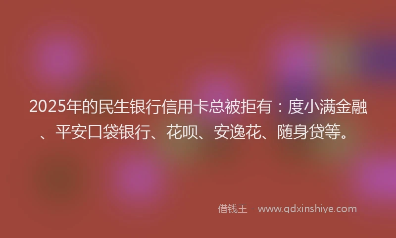 2025年的民生银行信用卡总被拒有：度小满金融、平安口袋银行、花呗、安逸花、随身贷等。