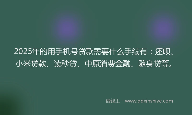 2025年的用手机号贷款需要什么手续有：还呗、小米贷款、读秒贷、中原消费金融、随身贷等。
