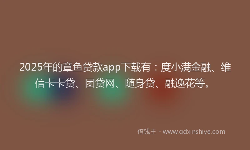 2025年的章鱼贷款app下载有:度小满金融、维信卡卡贷、团贷网、随身贷、融逸花等。