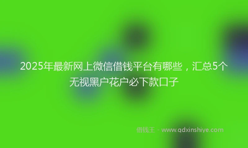 2025年最新网上微信借钱平台有哪些，汇总5个无视黑户花户必下款口子