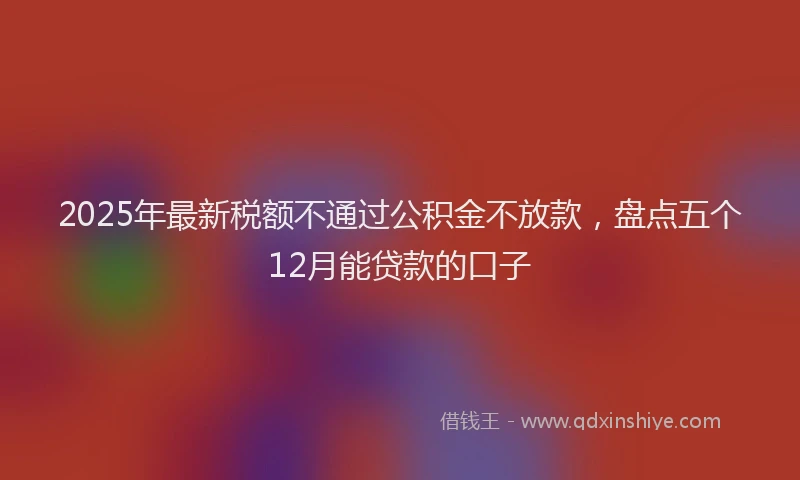 2025年最新税额不通过公积金不放款，盘点五个12月能贷款的口子