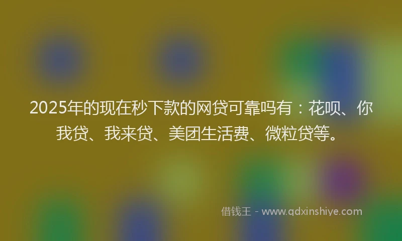 2025年的现在秒下款的网贷可靠吗有：花呗、你我贷、我来贷、美团生活费、微粒贷等。