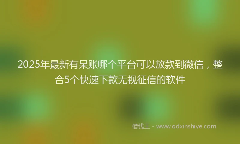 2025年最新有呆账哪个平台可以放款到微信，整合5个快速下款无视征信的软件