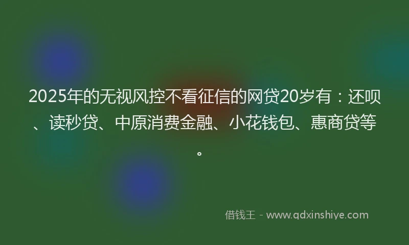 2025年的无视风控不看征信的网贷20岁有：还呗、读秒贷、中原消费金融、小花钱包、惠商贷等。