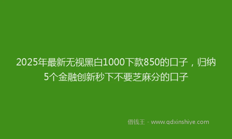 2025年最新无视黑白1000下款850的口子，归纳5个金融创新秒下不要芝麻分的口子