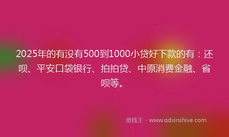 2025年的有没有500到1000小贷好下款的有：还呗、平安口袋银行、拍拍贷、中原消费金融、省呗等。