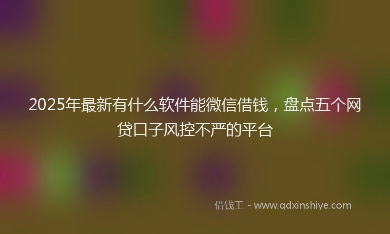 2025年最新有什么软件能微信借钱，盘点五个网贷口子风控不严的平台