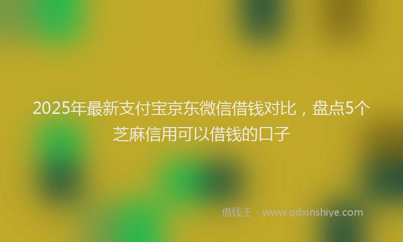 2025年最新支付宝京东微信借钱对比，盘点5个芝麻信用可以借钱的口子