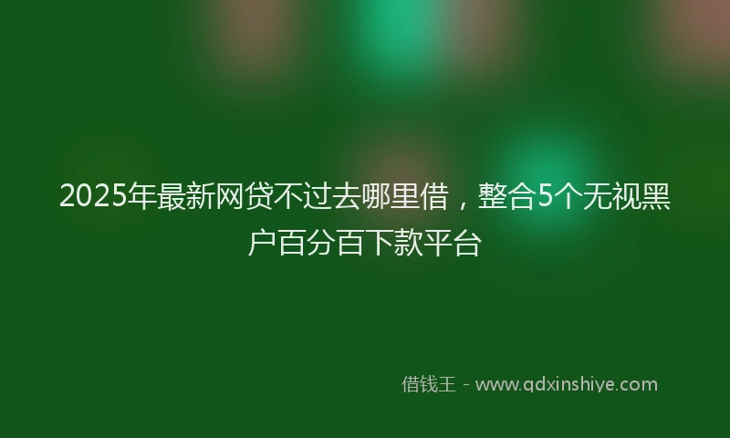 2025年最新网贷不过去哪里借，整合5个无视黑户百分百下款平台