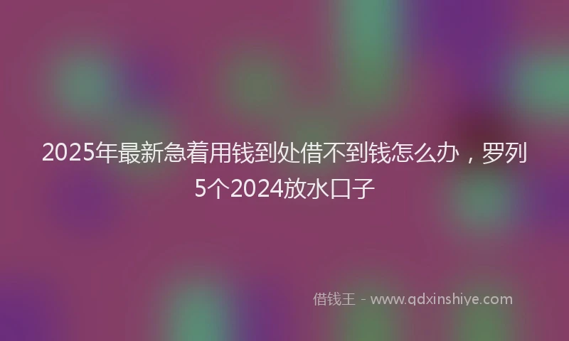 2025年最新急着用钱到处借不到钱怎么办，罗列5个2024放水口子