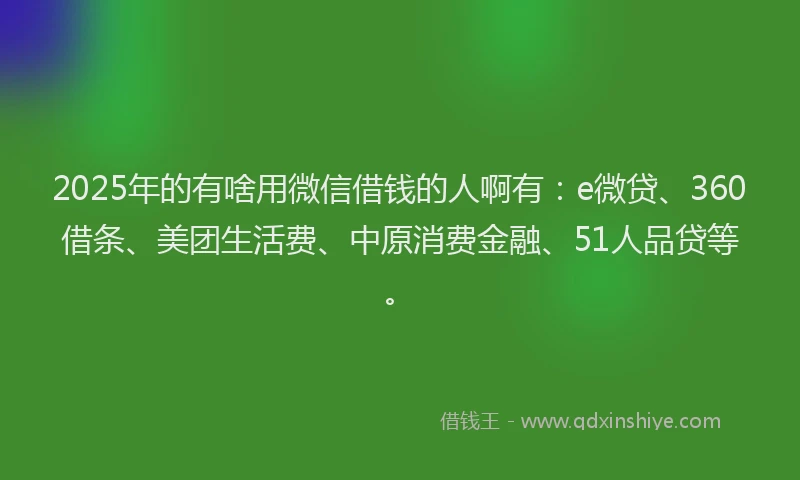 2025年的有啥用微信借钱的人啊有：e微贷、360借条、美团生活费、中原消费金融、51人品贷等。