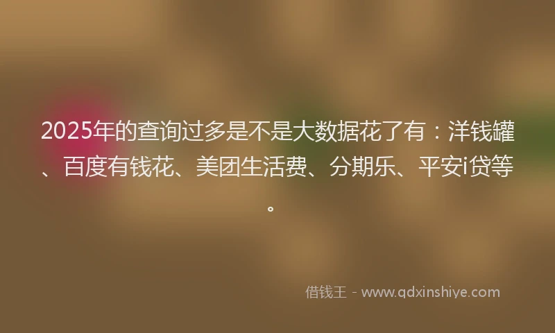 2025年的查询过多是不是大数据花了有：洋钱罐、百度有钱花、美团生活费、分期乐、平安i贷等。
