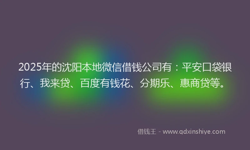 2025年的沈阳本地微信借钱公司有：平安口袋银行、我来贷、百度有钱花、分期乐、惠商贷等。