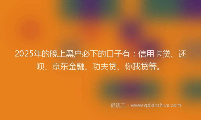 2025年的晚上黑户必下的口子有：信用卡贷、还呗、京东金融、功夫贷、你我贷等。