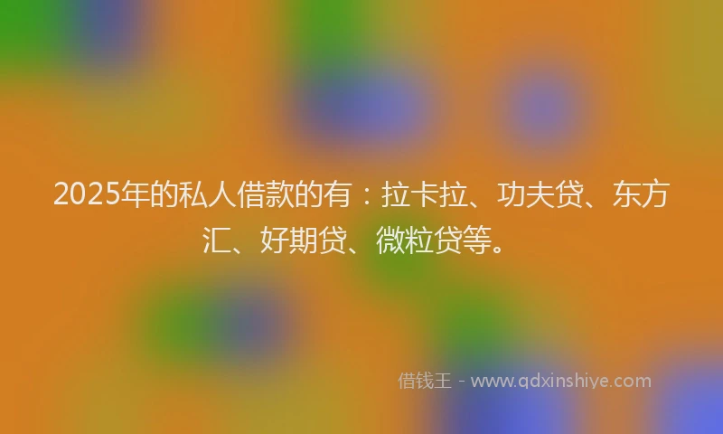 2025年的私人借款的有：拉卡拉、功夫贷、东方汇、好期贷、微粒贷等。