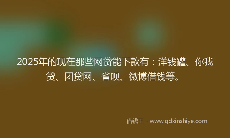 2025年的现在那些网贷能下款有：洋钱罐、你我贷、团贷网、省呗、微博借钱等。