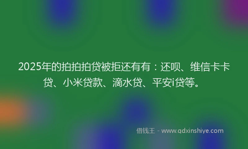 2025年的拍拍拍贷被拒还有有：还呗、维信卡卡贷、小米贷款、滴水贷、平安i贷等。