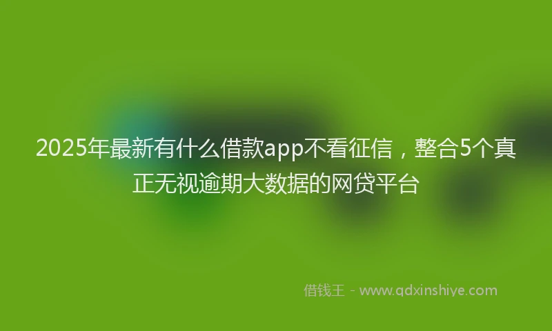 2025年最新有什么借款app不看征信，整合5个真正无视逾期大数据的网贷平台