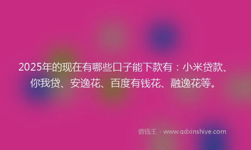 2025年的现在有哪些口子能下款有：小米贷款、你我贷、安逸花、百度有钱花、融逸花等。
