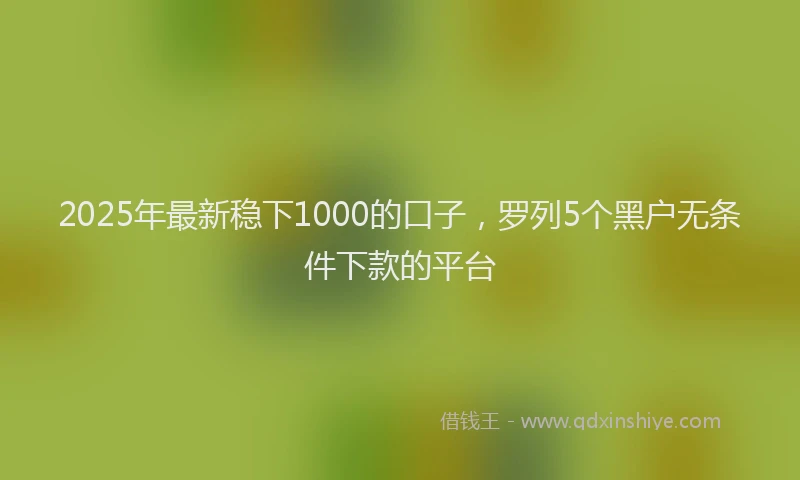 2025年最新稳下1000的口子，罗列5个黑户无条件下款的平台