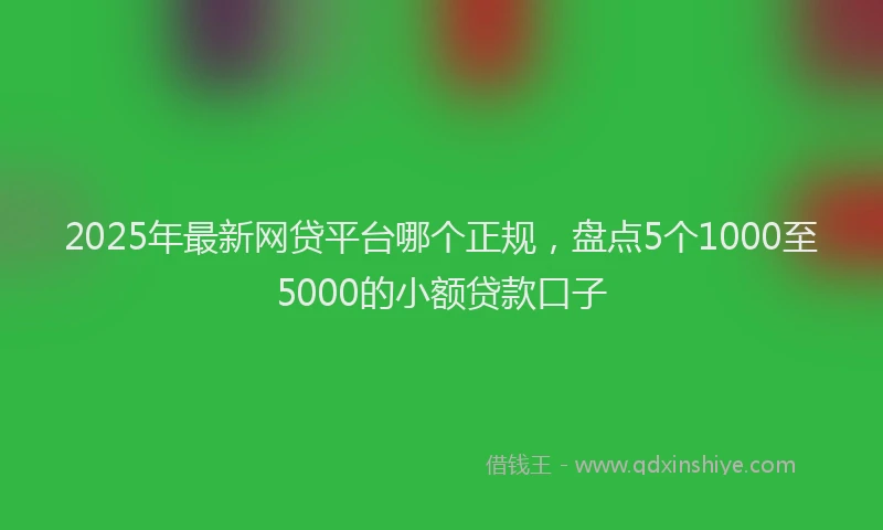 2025年最新网贷平台哪个正规，盘点5个1000至5000的小额贷款口子