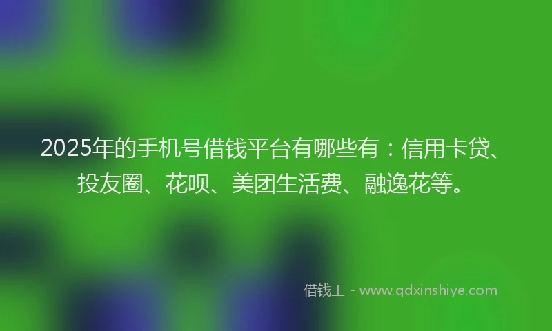 2025年的手机号借钱平台有哪些有：信用卡贷、投友圈、花呗、美团生活费、融逸花等。