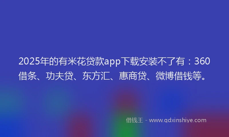 2025年的有米花贷款app下载安装不了有：360借条、功夫贷、东方汇、惠商贷、微博借钱等。
