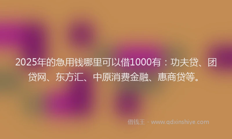 2025年的急用钱哪里可以借1000有：功夫贷、团贷网、东方汇、中原消费金融、惠商贷等。
