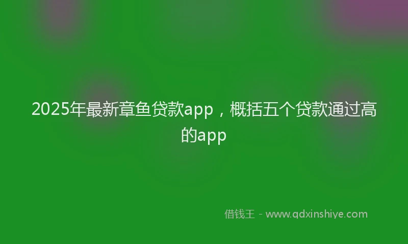 2025年最新章鱼贷款app，概括五个贷款通过高的app