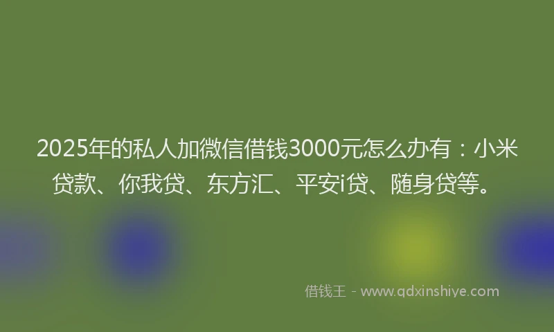 2025年的私人加微信借钱3000元怎么办有：小米贷款、你我贷、东方汇、平安i贷、随身贷等。