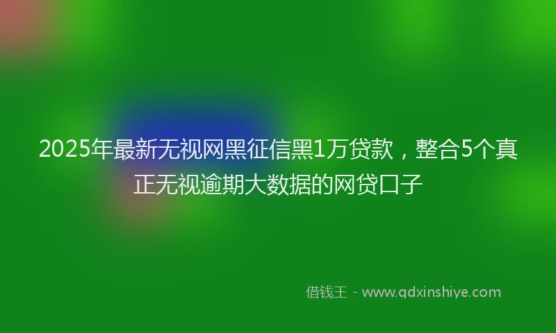 2025年最新无视网黑征信黑1万贷款，整合5个真正无视逾期大数据的网贷口子