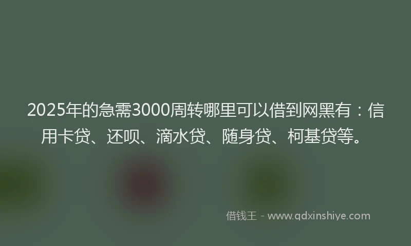2025年的急需3000周转哪里可以借到网黑有：信用卡贷、还呗、滴水贷、随身贷、柯基贷等。