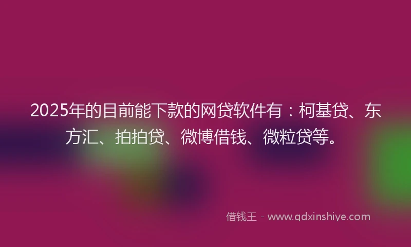 2025年的目前能下款的网贷软件有：柯基贷、东方汇、拍拍贷、微博借钱、微粒贷等。