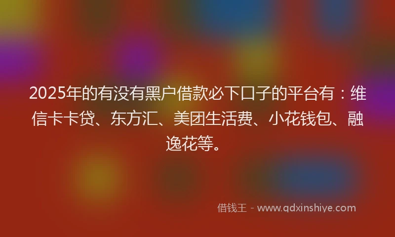 2025年的有没有黑户借款必下口子的平台有：维信卡卡贷、东方汇、美团生活费、小花钱包、融逸花等。