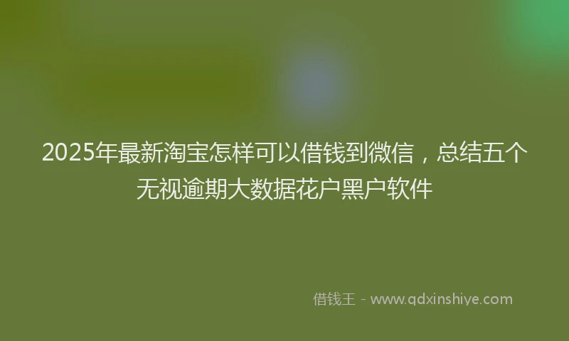 2025年最新淘宝怎样可以借钱到微信，总结五个无视逾期大数据花户黑户软件