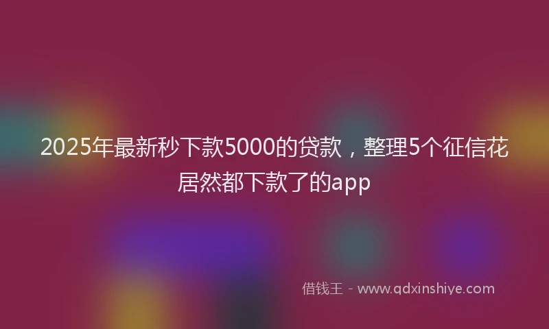 2025年最新秒下款5000的贷款，整理5个征信花居然都下款了的app