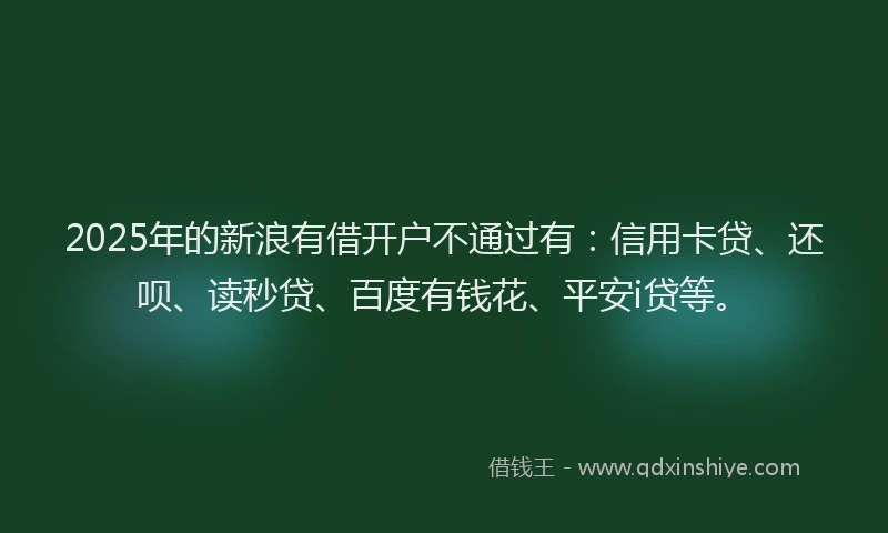 2025年的新浪有借开户不通过有：信用卡贷、还呗、读秒贷、百度有钱花、平安i贷等。